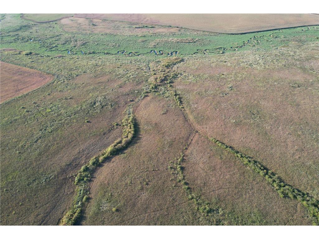 TBD 340th Street Ogema MN 56569 - Wild Rice River - South Branch 6794126 image14