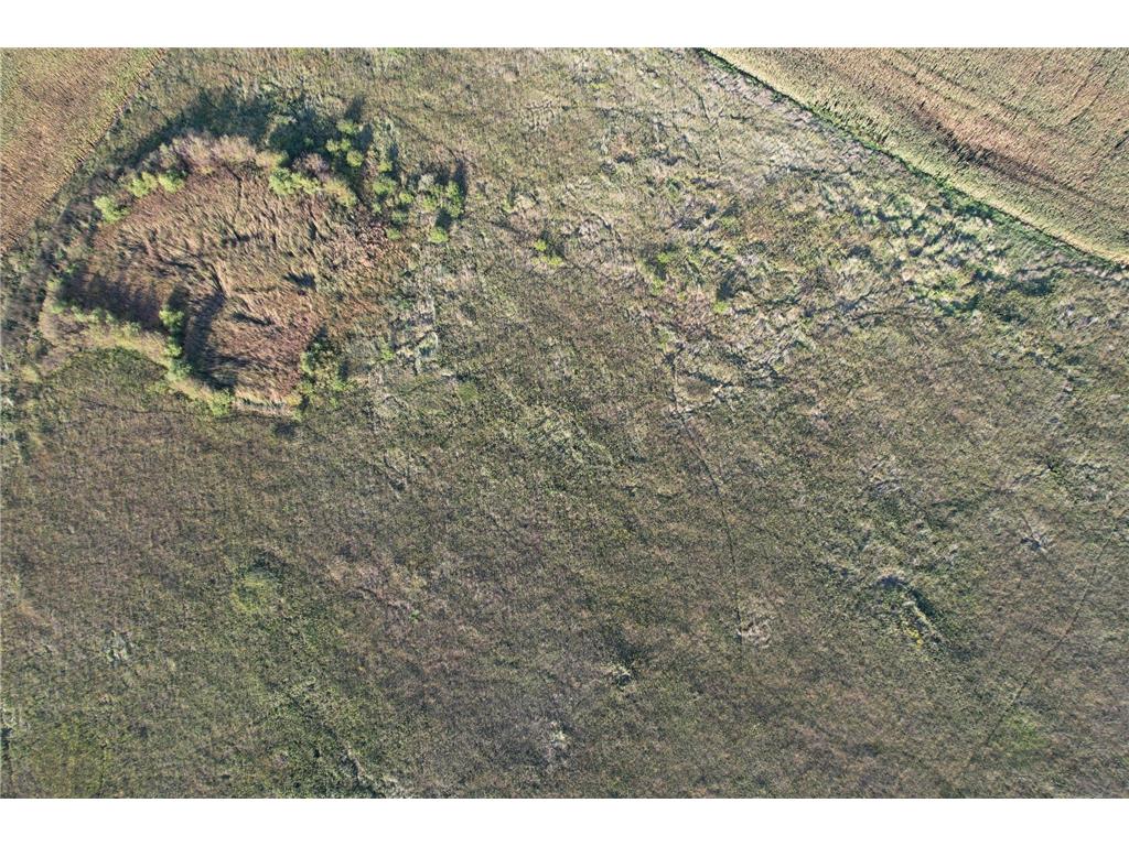 TBD 340th Street Ogema MN 56569 - Wild Rice River - South Branch 6794126 image19