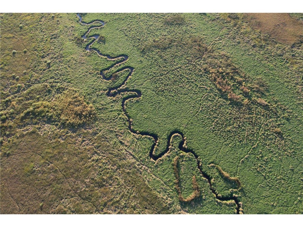 TBD 340th Street Ogema MN 56569 - Wild Rice River - South Branch 6794126 image26
