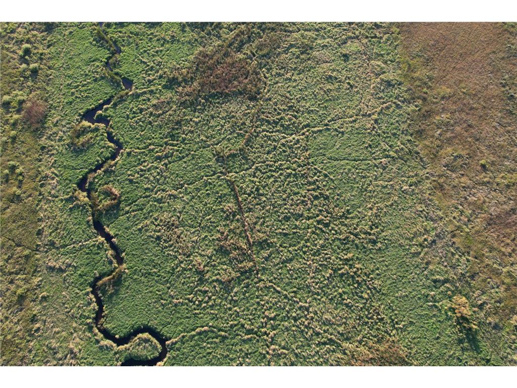 TBD 340th Street Ogema MN 56569 - Wild Rice River - South Branch 6794126 image28