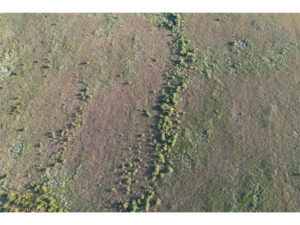 TBD 340th Street Ogema MN 56569 - Wild Rice River - South Branch 6794126 image34