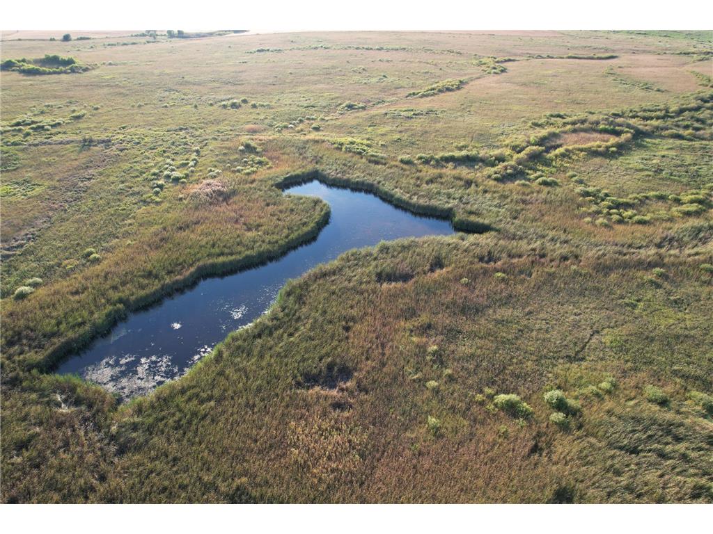 TBD 340th Street Ogema MN 56569 - Wild Rice River - South Branch 6794126 image40