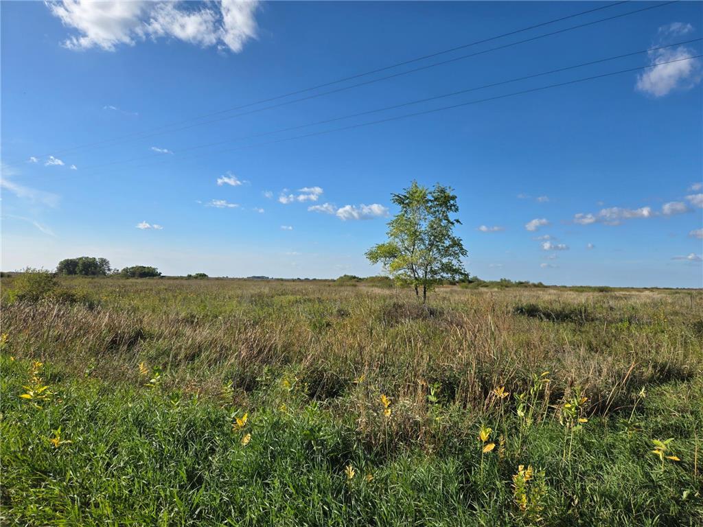 TBD 340th Street Ogema MN 56569 - Wild Rice River - South Branch 6794126 image41