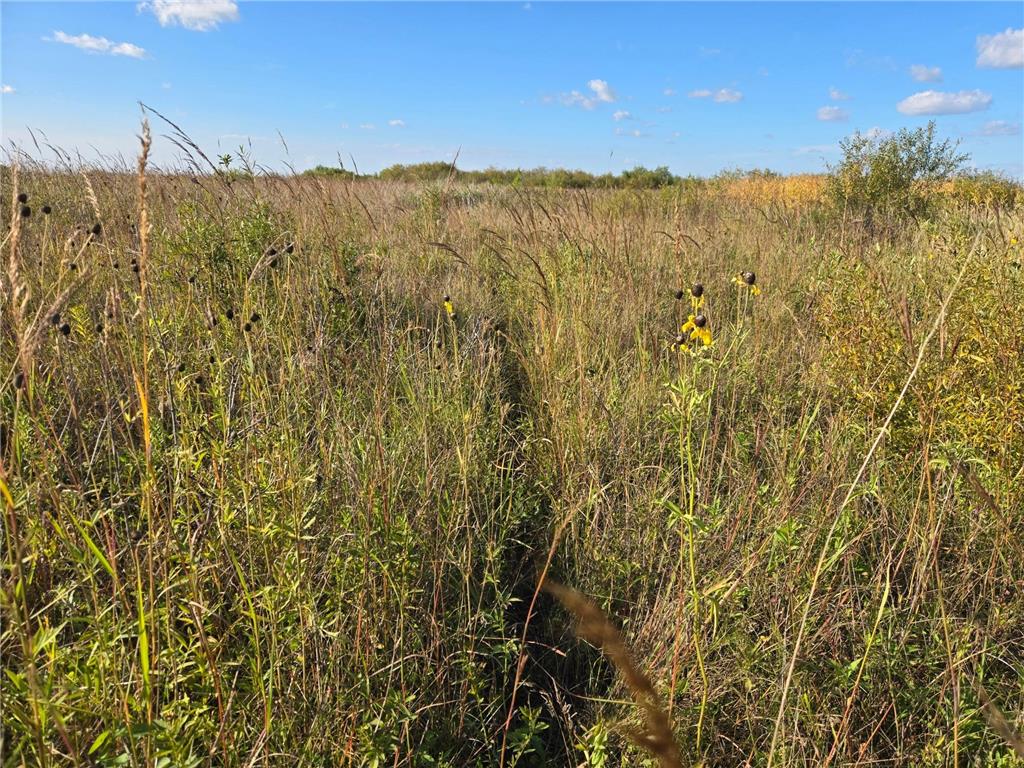 TBD 340th Street Ogema MN 56569 - Wild Rice River - South Branch 6794126 image43