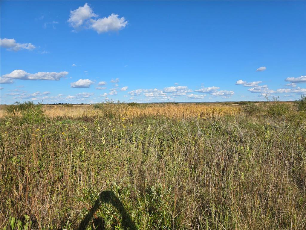 TBD 340th Street Ogema MN 56569 - Wild Rice River - South Branch 6794126 image44