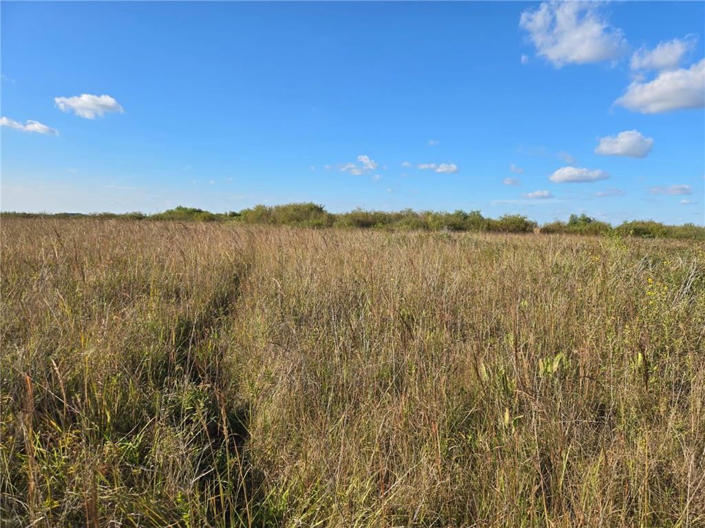 TBD 340th Street Ogema MN 56569 - Wild Rice River - South Branch 6794126 image45