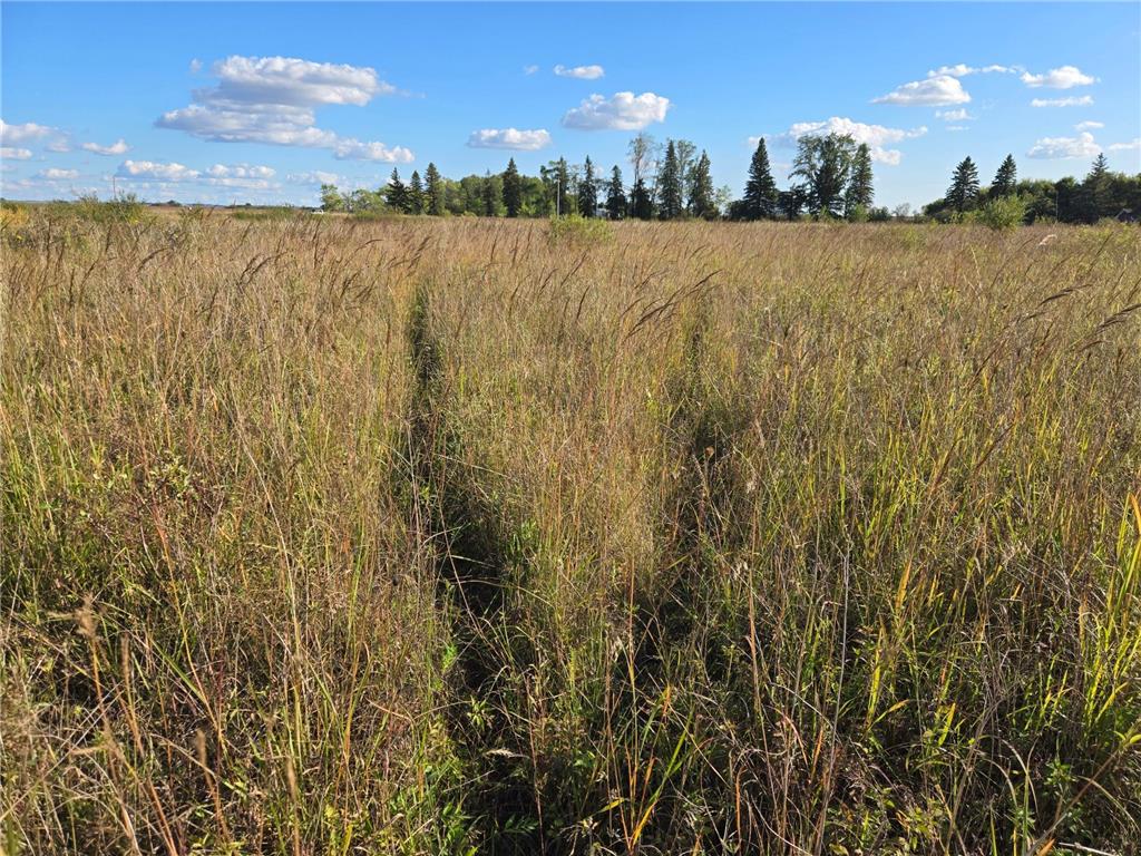 TBD 340th Street Ogema MN 56569 - Wild Rice River - South Branch 6794126 image46