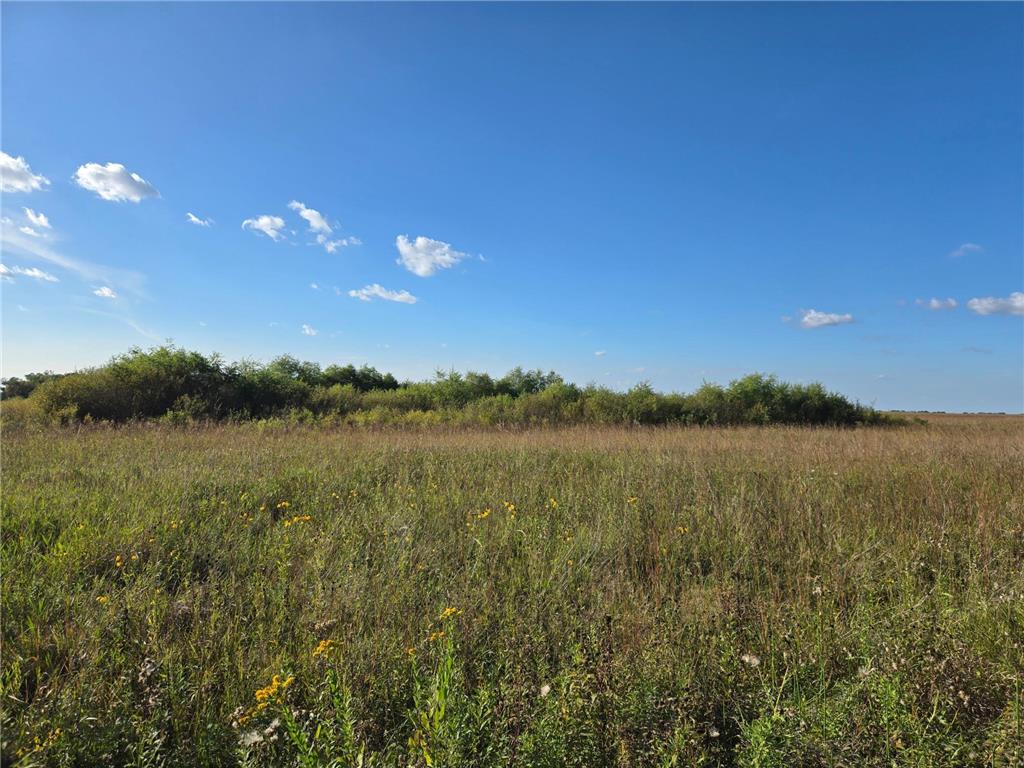 TBD 340th Street Ogema MN 56569 - Wild Rice River - South Branch 6794126 image48