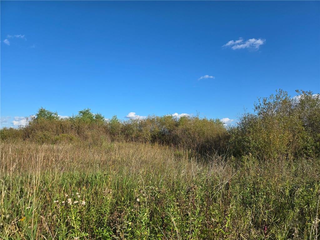 TBD 340th Street Ogema MN 56569 - Wild Rice River - South Branch 6794126 image49