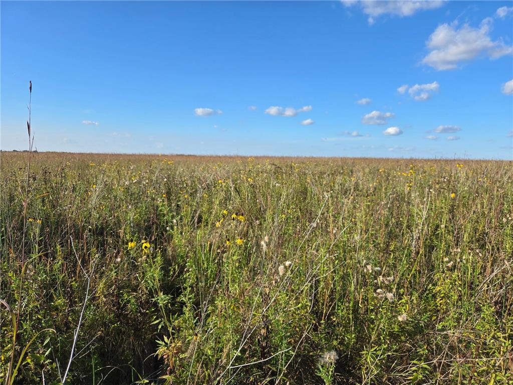 TBD 340th Street Ogema MN 56569 - Wild Rice River - South Branch 6794126 image50
