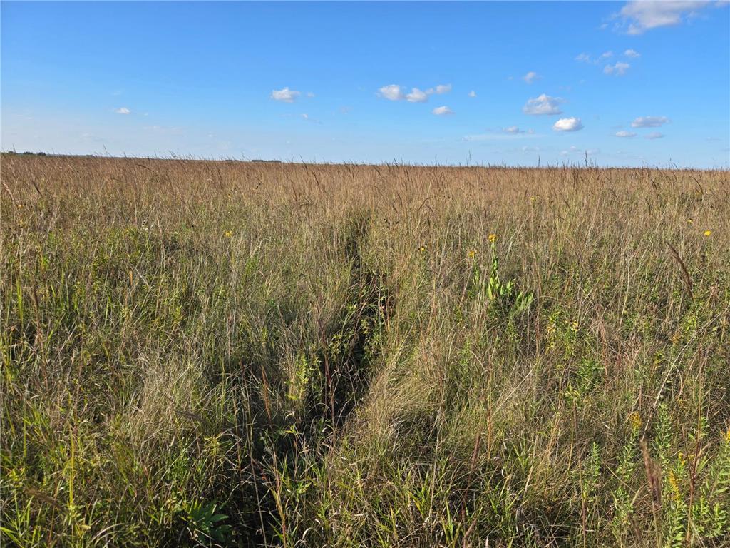 TBD 340th Street Ogema MN 56569 - Wild Rice River - South Branch 6794126 image51