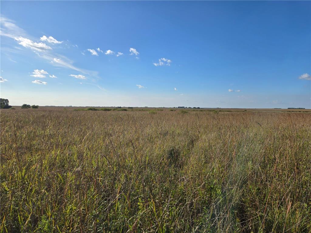 TBD 340th Street Ogema MN 56569 - Wild Rice River - South Branch 6794126 image52