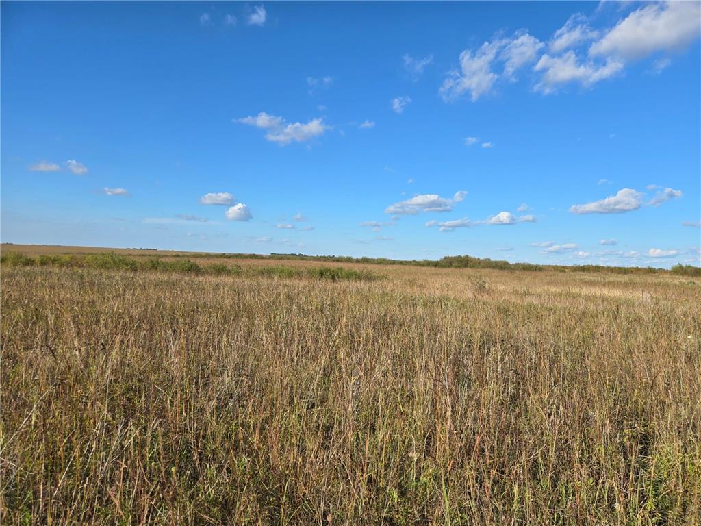 TBD 340th Street Ogema MN 56569 - Wild Rice River - South Branch 6794126 image53