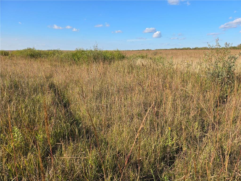 TBD 340th Street Ogema MN 56569 - Wild Rice River - South Branch 6794126 image54