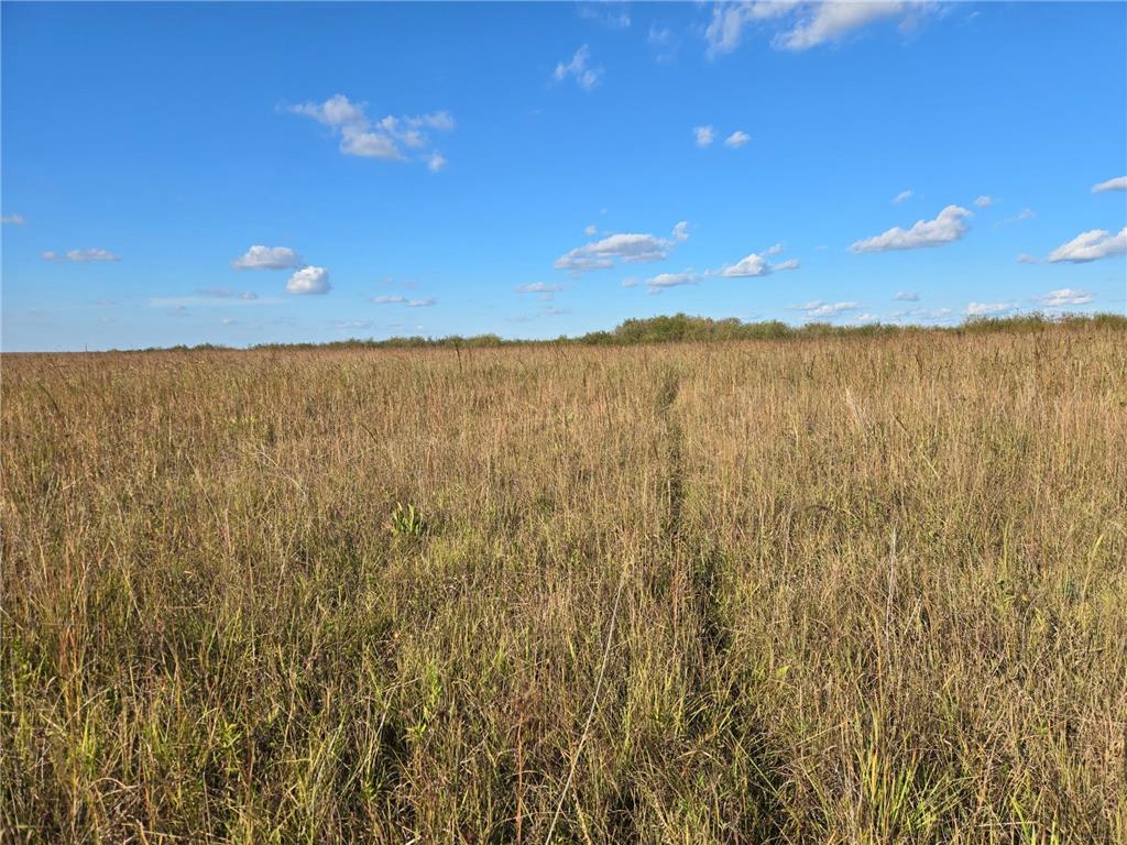 TBD 340th Street Ogema MN 56569 - Wild Rice River - South Branch 6794126 image55