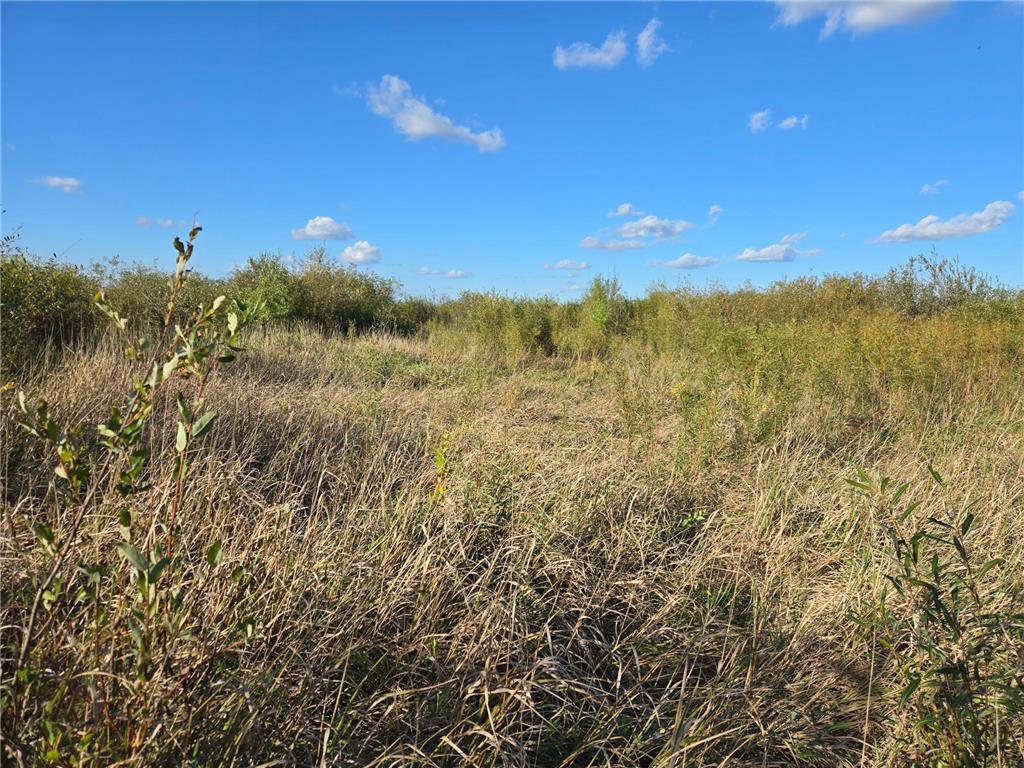 TBD 340th Street Ogema MN 56569 - Wild Rice River - South Branch 6794126 image56
