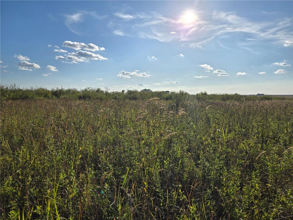 TBD 340th Street Ogema MN 56569 - Wild Rice River - South Branch 6794126 image57