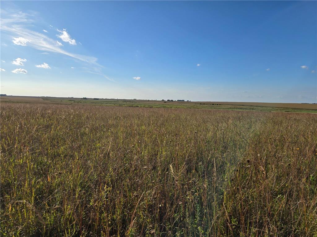 TBD 340th Street Ogema MN 56569 - Wild Rice River - South Branch 6794126 image58