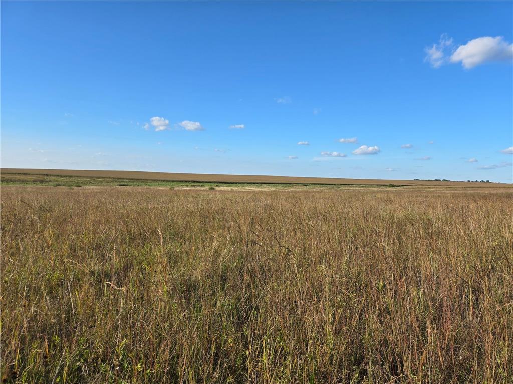 TBD 340th Street Ogema MN 56569 - Wild Rice River - South Branch 6794126 image59