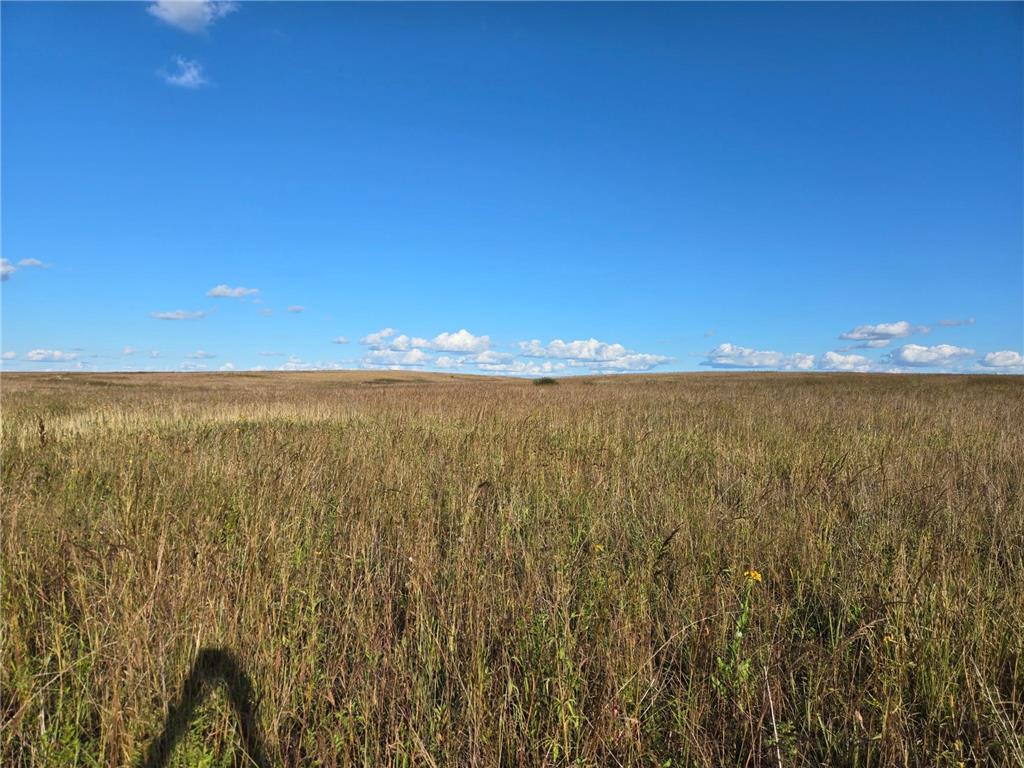 TBD 340th Street Ogema MN 56569 - Wild Rice River - South Branch 6794126 image62