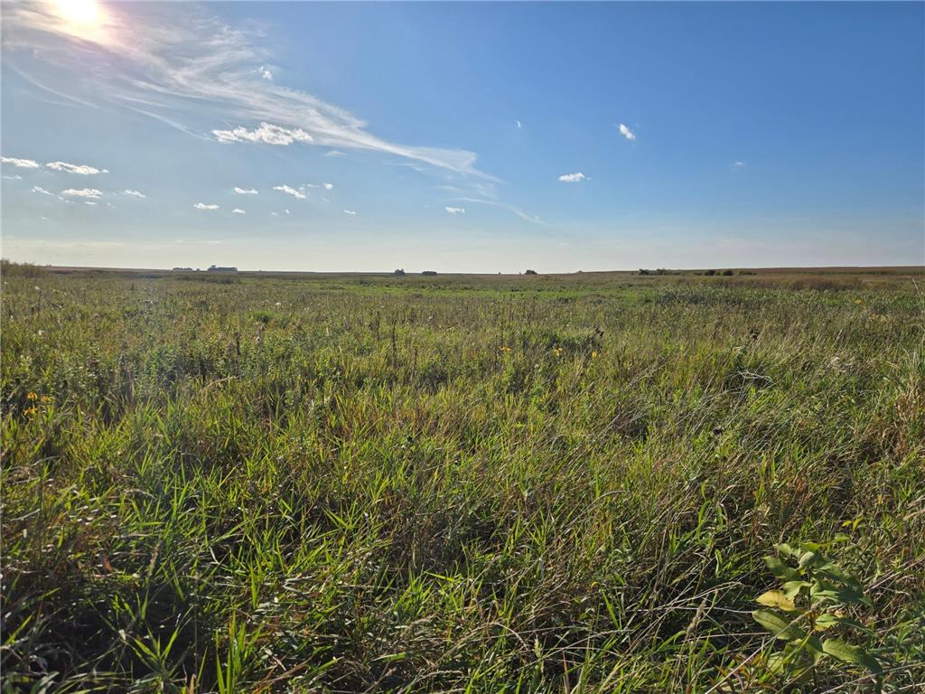 TBD 340th Street Ogema MN 56569 - Wild Rice River - South Branch 6794126 image63
