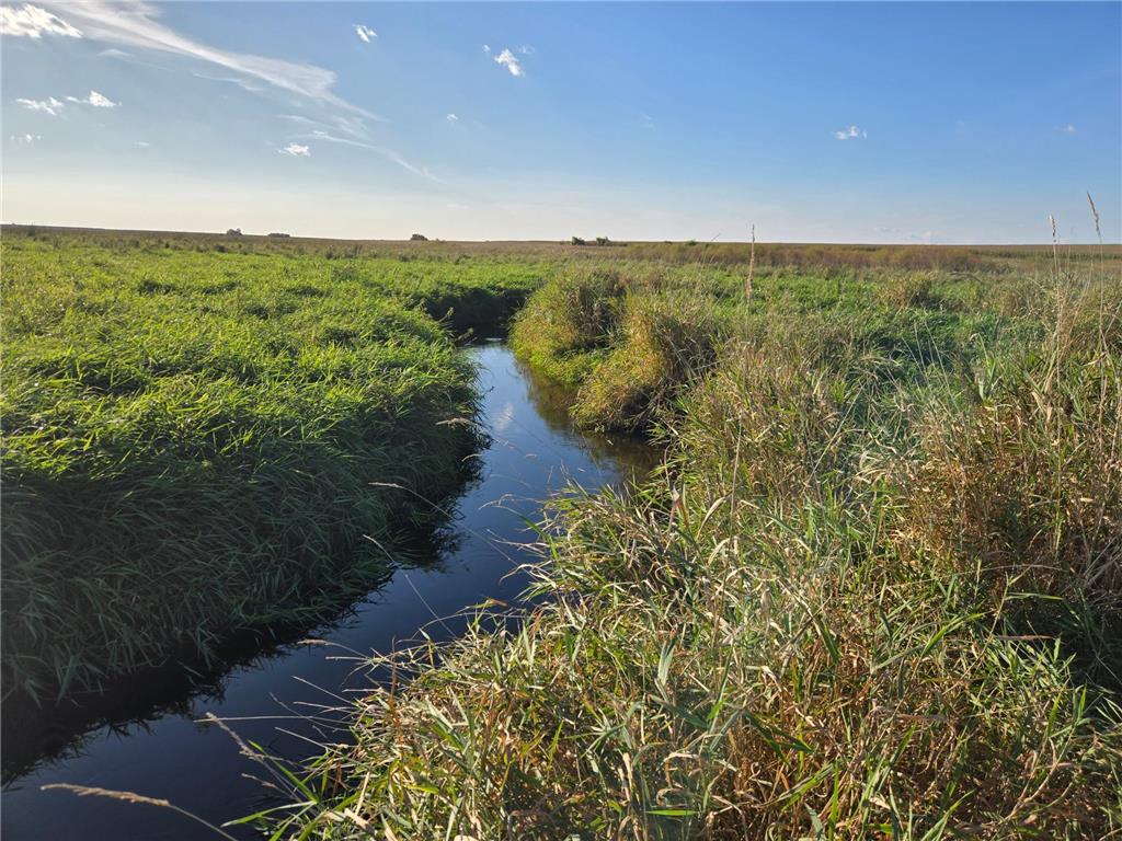 TBD 340th Street Ogema MN 56569 - Wild Rice River - South Branch 6794126 image64