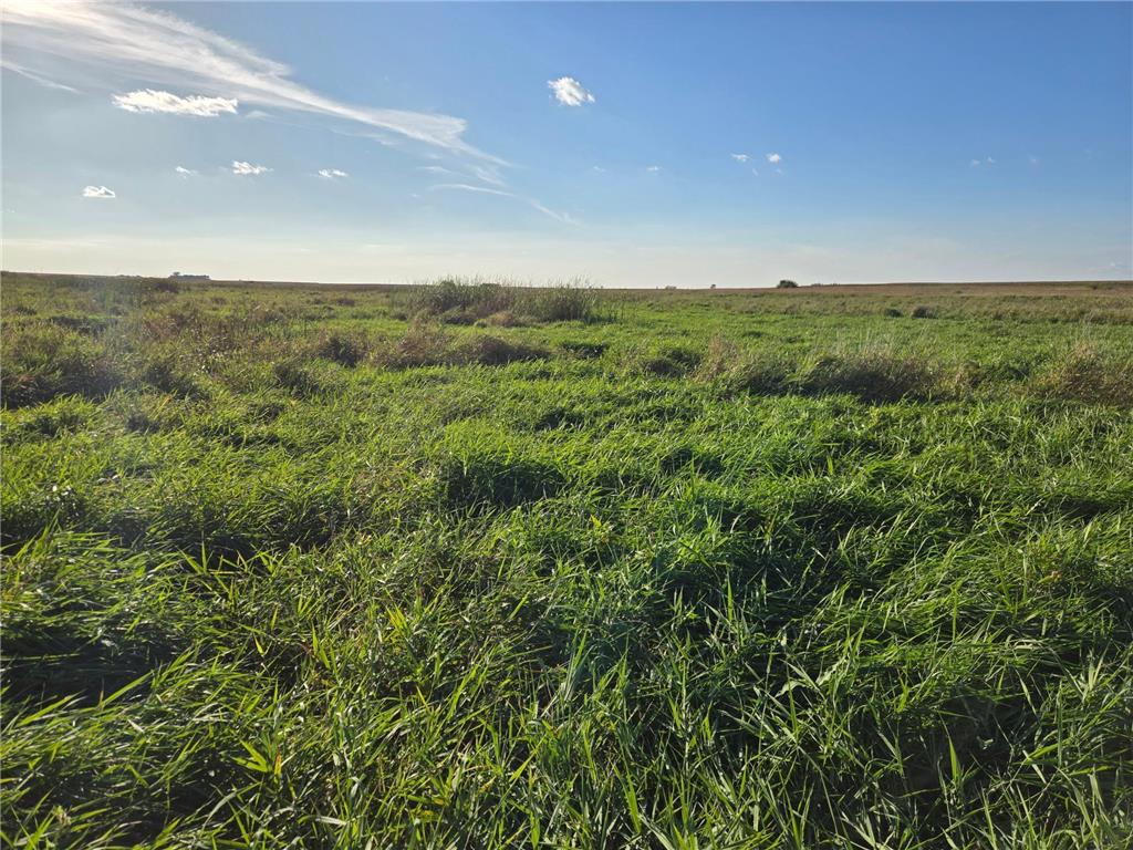 TBD 340th Street Ogema MN 56569 - Wild Rice River - South Branch 6794126 image69