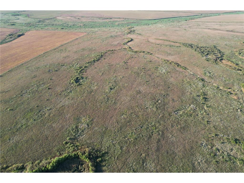 TBD 340th Street Ogema MN 56569 - Wild Rice River - South Branch 6794126 image7