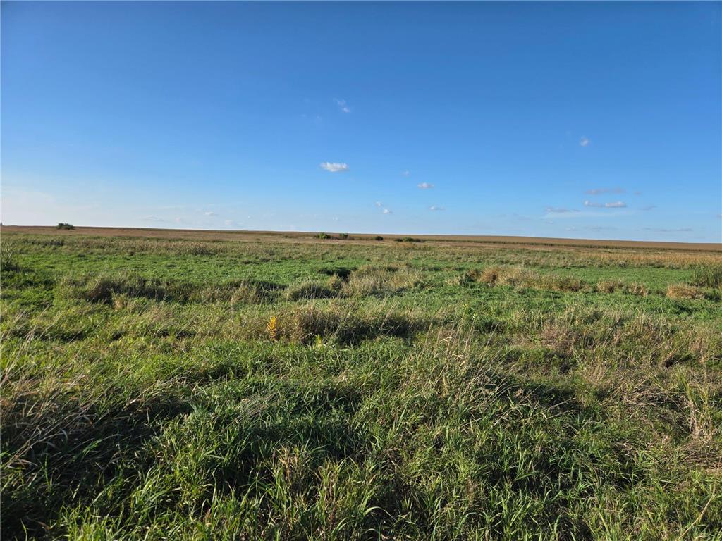 TBD 340th Street Ogema MN 56569 - Wild Rice River - South Branch 6794126 image70