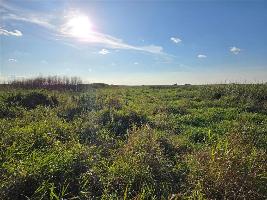 TBD 340th Street Ogema MN 56569 - Wild Rice River - South Branch 6794126 image71
