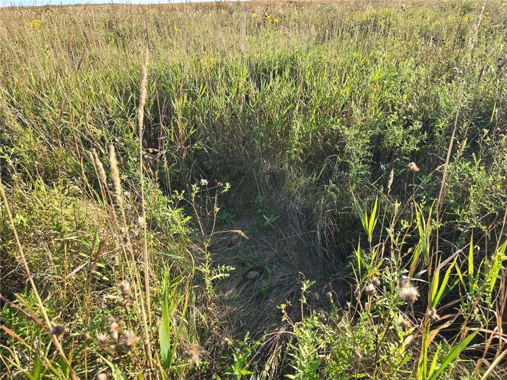 TBD 340th Street Ogema MN 56569 - Wild Rice River - South Branch 6794126 image72