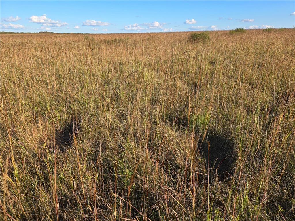 TBD 340th Street Ogema MN 56569 - Wild Rice River - South Branch 6794126 image74