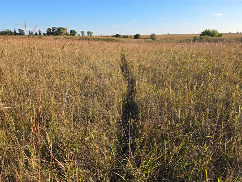 TBD 340th Street Ogema MN 56569 - Wild Rice River - South Branch 6794126 image75