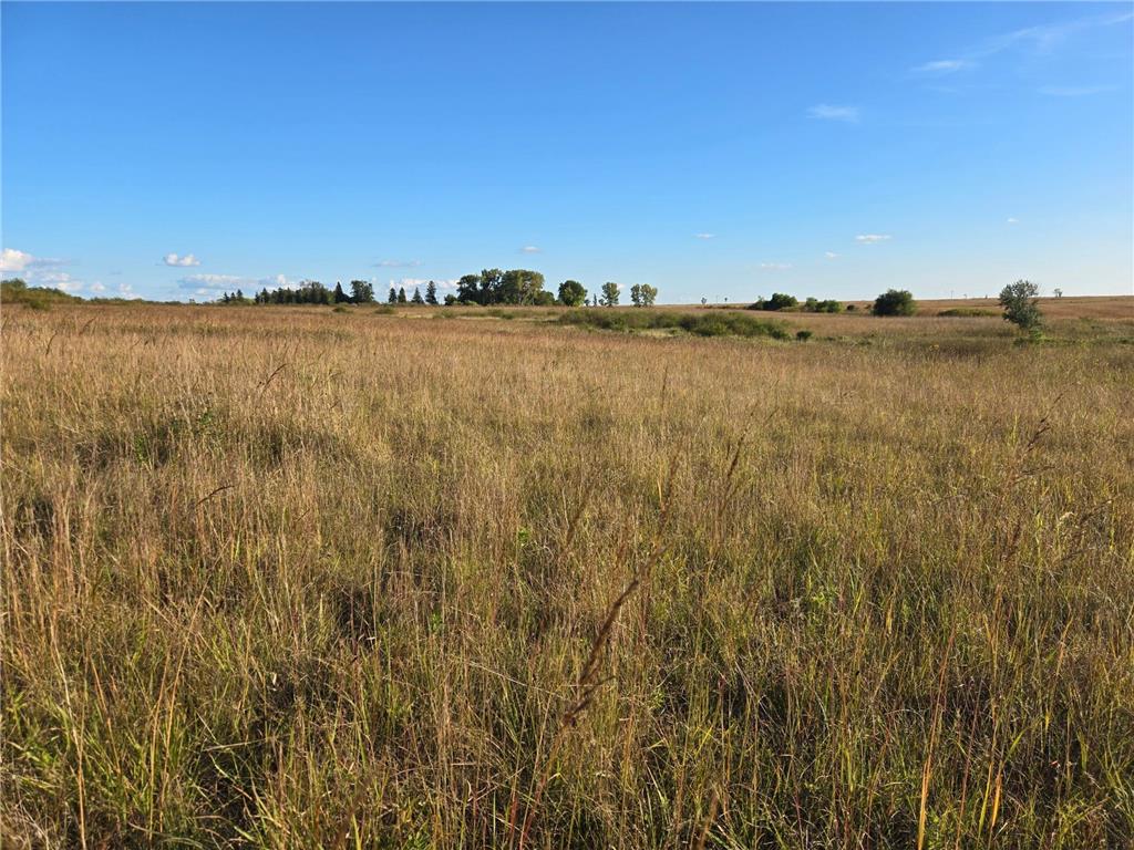 TBD 340th Street Ogema MN 56569 - Wild Rice River - South Branch 6794126 image76