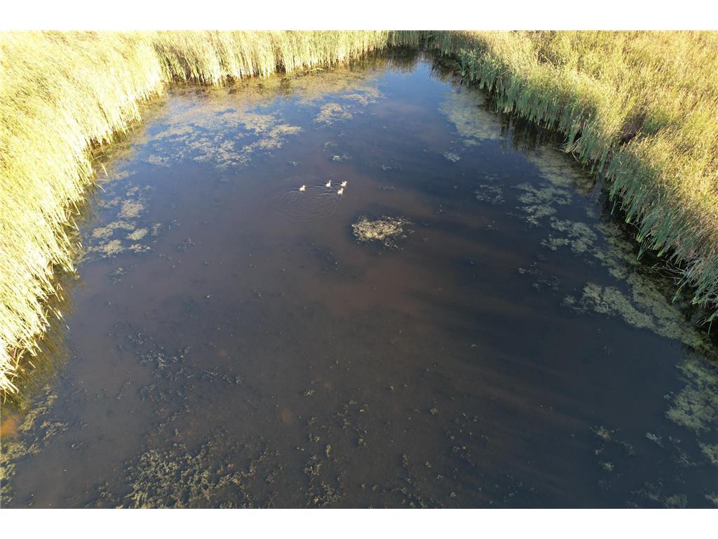 TBD 340th Street Ogema MN 56569 - Wild Rice River - South Branch 6794126 image78