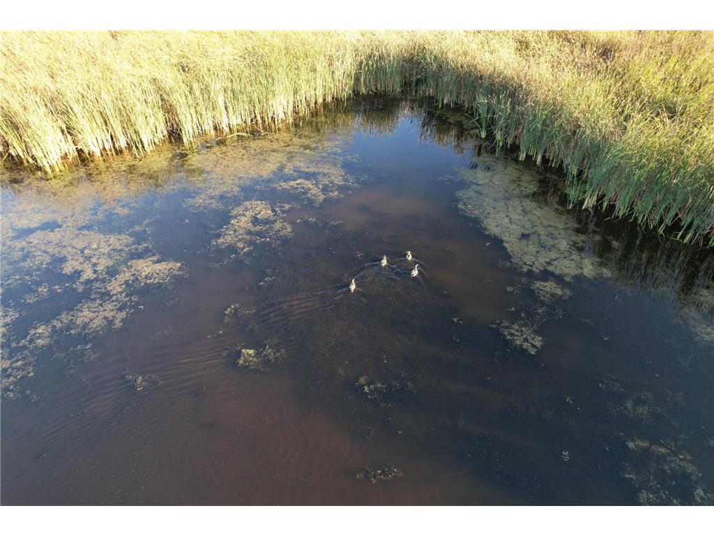 TBD 340th Street Ogema MN 56569 - Wild Rice River - South Branch 6794126 image79