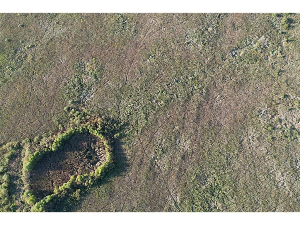 TBD 340th Street Ogema MN 56569 - Wild Rice River - South Branch 6794126 image8