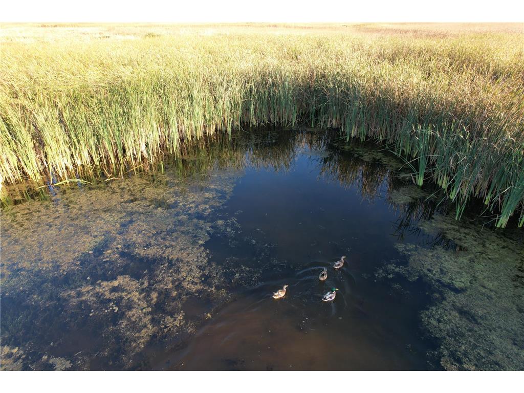 TBD 340th Street Ogema MN 56569 - Wild Rice River - South Branch 6794126 image80