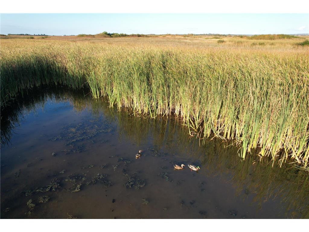 TBD 340th Street Ogema MN 56569 - Wild Rice River - South Branch 6794126 image83