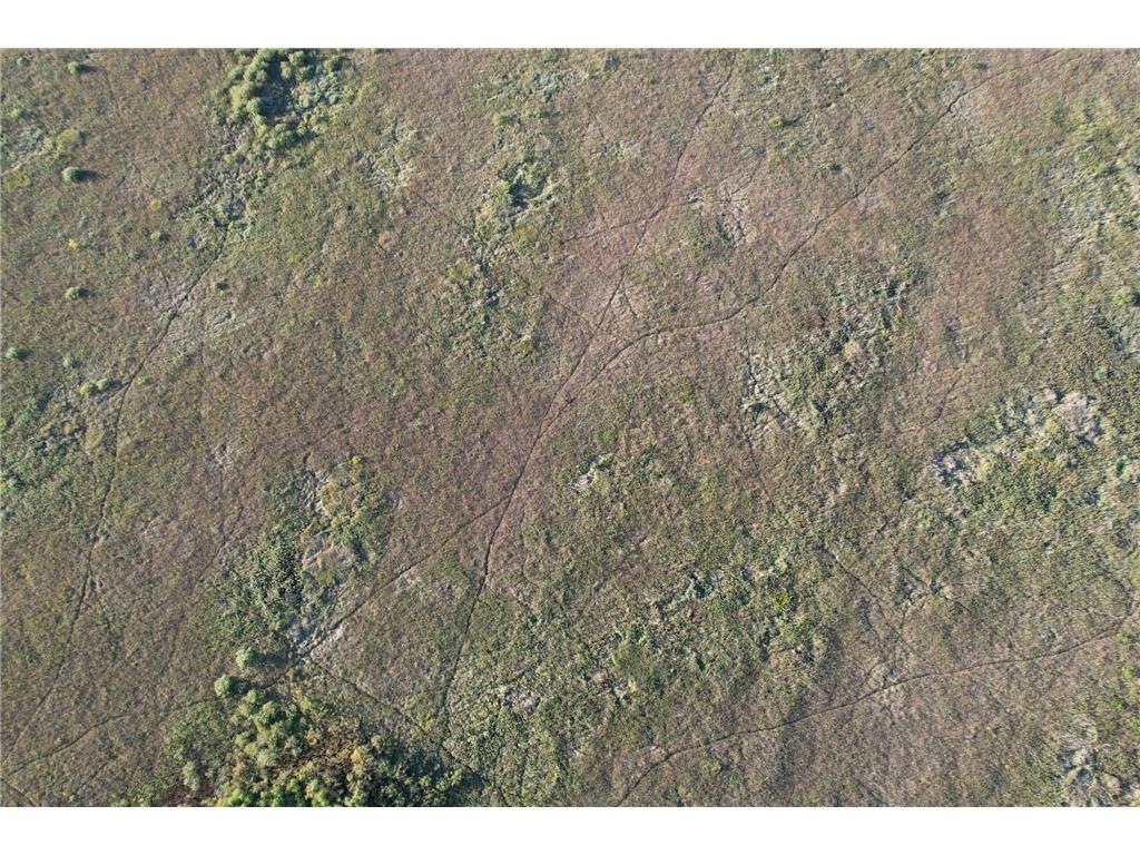 TBD 340th Street Ogema MN 56569 - Wild Rice River - South Branch 6794126 image9