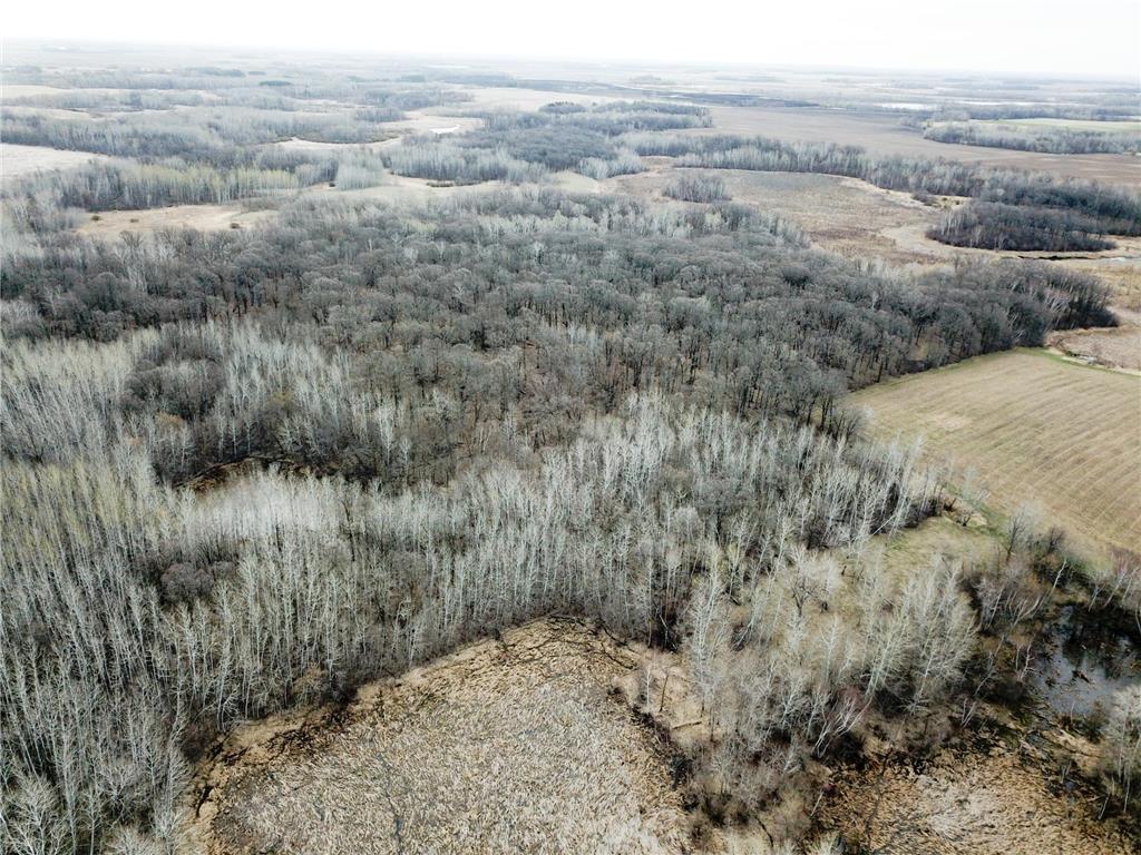 TBD 340th Street SE Brandsvold Twp MN 56542 7071523 image11