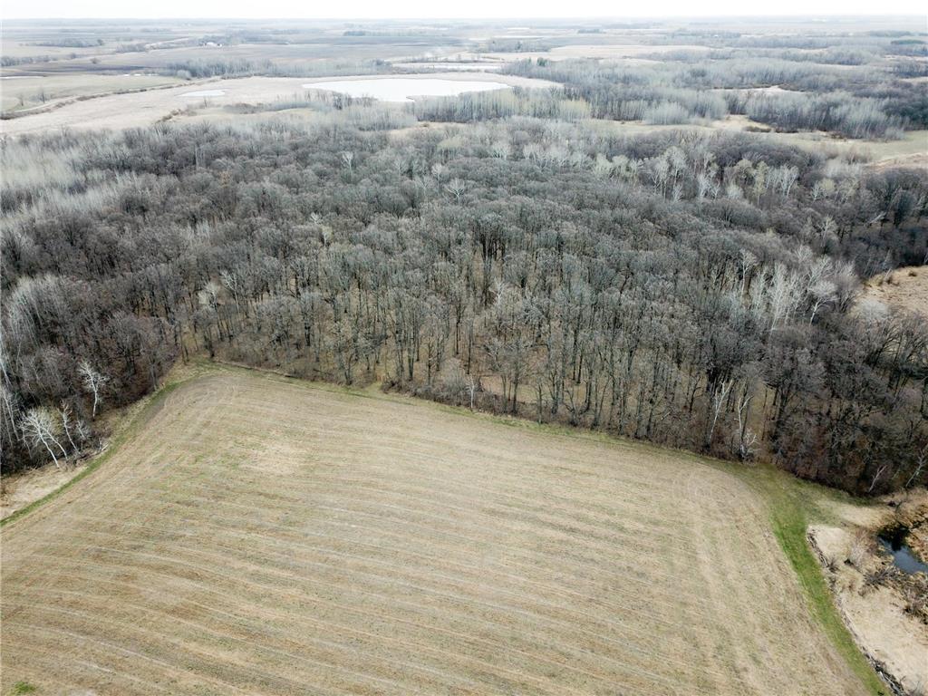 TBD 340th Street SE Brandsvold Twp MN 56542 7071523 image21