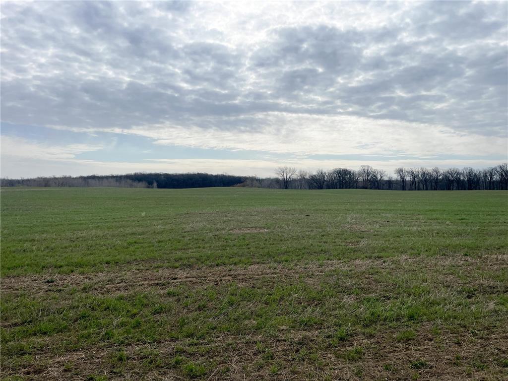 TBD 340th Street SE Brandsvold Twp MN 56542 7071523 image28