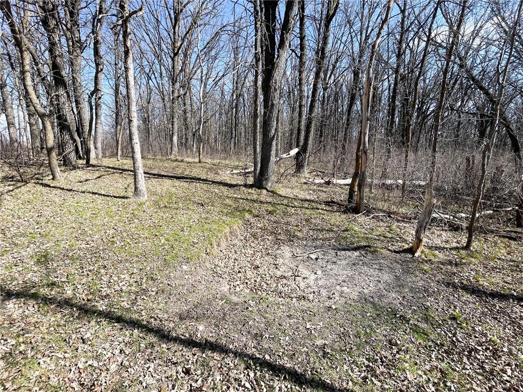 TBD 340th Street SE Brandsvold Twp MN 56542 7071523 image40