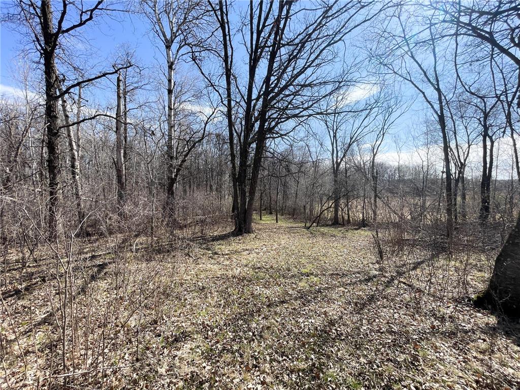 TBD 340th Street SE Brandsvold Twp MN 56542 7071523 image41