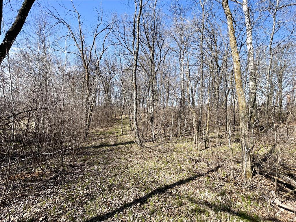 TBD 340th Street SE Brandsvold Twp MN 56542 7071523 image42