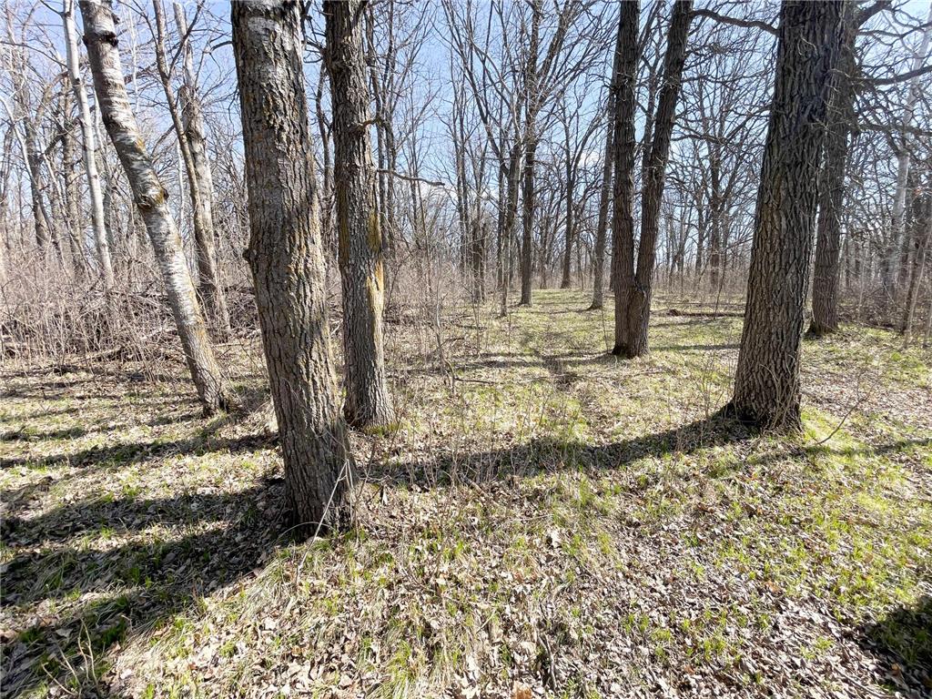 TBD 340th Street SE Brandsvold Twp MN 56542 7071523 image43