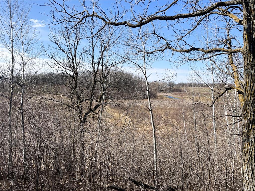 TBD 340th Street SE Brandsvold Twp MN 56542 7071523 image44