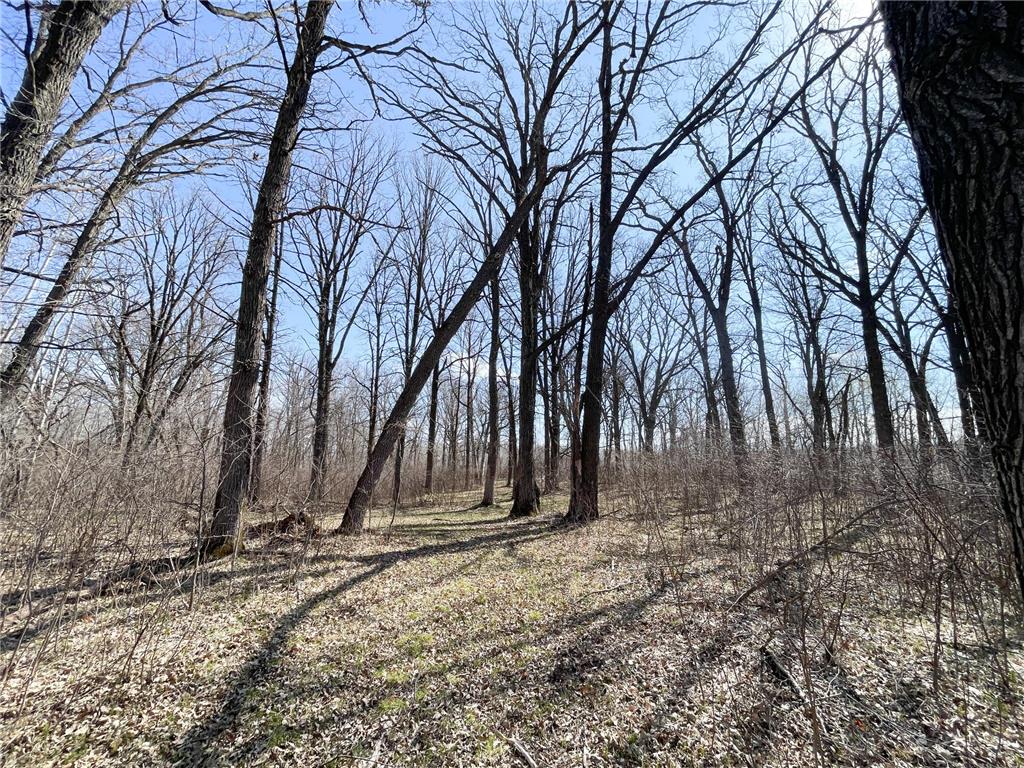 TBD 340th Street SE Brandsvold Twp MN 56542 7071523 image45