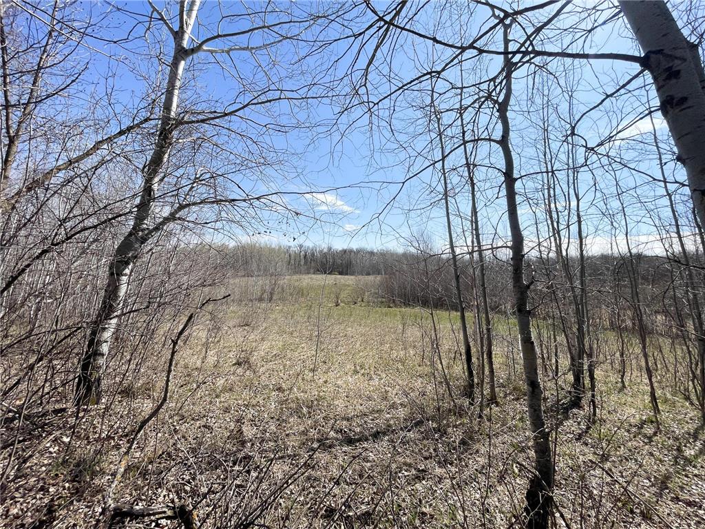 TBD 340th Street SE Brandsvold Twp MN 56542 7071523 image46